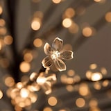 thumbnail of Árvore de luz LED com flor de cerejeira Festas de Natal 120cm 1,2m 72 Leds Ideal Decoração de Natal Eventos Celebrações (Luz Quente)