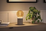 thumbnail of Paulmann Rustic Shine Standard 230V LED Globe E27  300lm 4,2W 1800K dimmbar Gold 29248