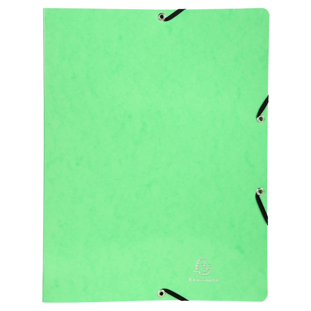 Exacompta 54893E 20x Ringhefter mit Gummizug aus Colorspan-Karton mit 2 Ringen 15mm, Rückenbreite 20mm, 32x25cm für DIN A4 - Iderama - Anisgrün