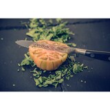 thumbnail of Arcos Cuchillo Tomatero, Hoja de Acero Inoxidable Forjado NITRUM 130 mm, Mango de Polyoxymethylene (POM), Color Negro