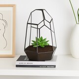 thumbnail of Relaxdays Pflanzenterrarium, Glas & Zinn, Deko Glashaus für Kakteen & Moos, offener Glaskasten für Fensterbank, schwarz