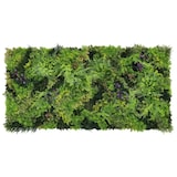 thumbnail of Jardín vertical artificial Bonerva Oslo Urban pack 2 paneles modulares 100x100 cm 2 m² pared vegetal decorativa interior y exterior sin mantenimiento