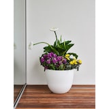 thumbnail of TERA eleganter OVER Blumentopf, Polyethylen-Pflanzgefäß für drinnen/draußen, 5mm Dicke, raue Oberfläche, Wasservorrat, Durchmesser 38cm, schwarz