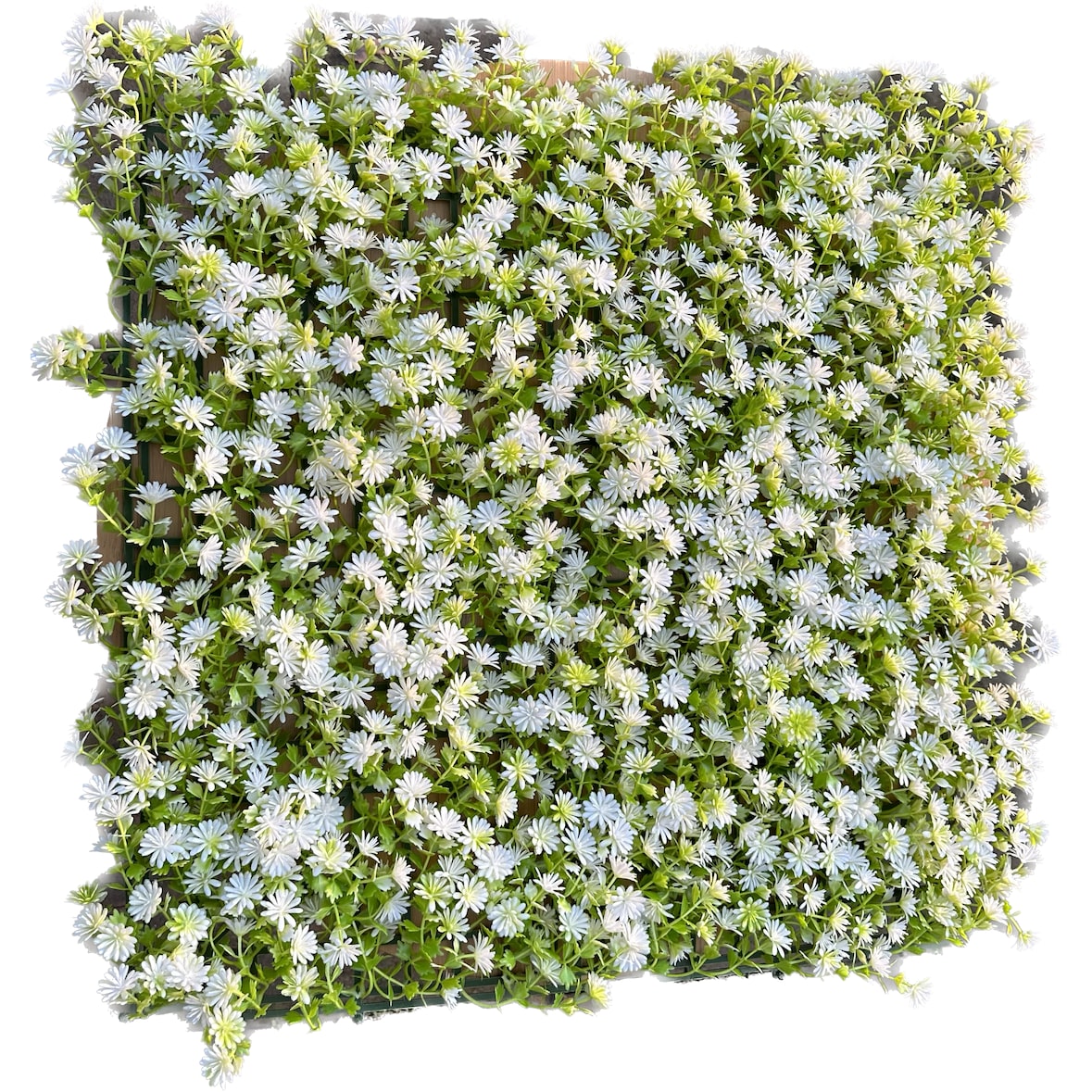 GeckoWall "KIEL" | Premium Blüten weiß Pflanzenwand  | Gastronomie Blumenwand Wandverkleidung | weiße Kunstpflanzen Wandmontage |Wandpaneele künstlich