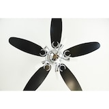 thumbnail of Westinghouse Arius Deckenventilator  (Ø) 132 cm Flügelfarbe: Weiß, Schwarz Gehäusefarbe (Details): C