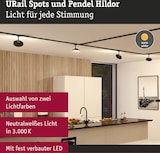 Schwarze Schienenleuchten mit Pendelleuchten für die Decke.
