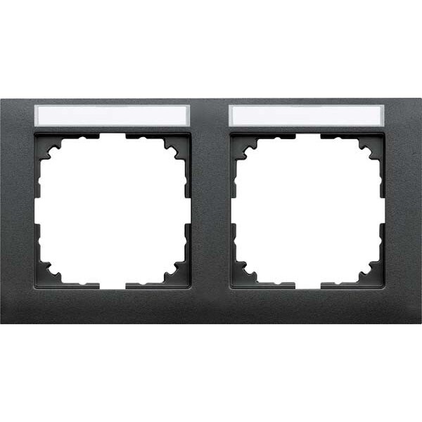 Merten Rahmen 2-fach MEG4021-3614