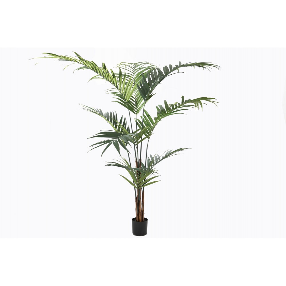 Palme Kentia H: 224 cm - Mehrfarbig Anderer Kunststoff Lou De Castellane 153x153 cm