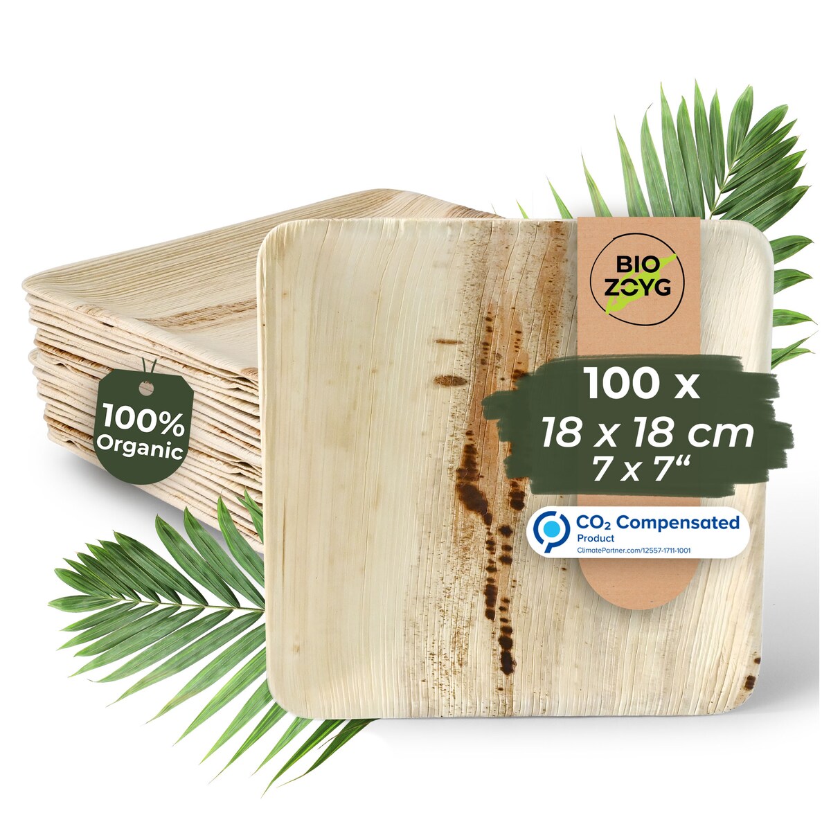 BIOZOYG 100 Stück Einwegteller 18x18cm Palmblatt-Teller, quadratisch, biologisch abbaubar, umweltfreundlich, kompostierbar, Wegwerfteller