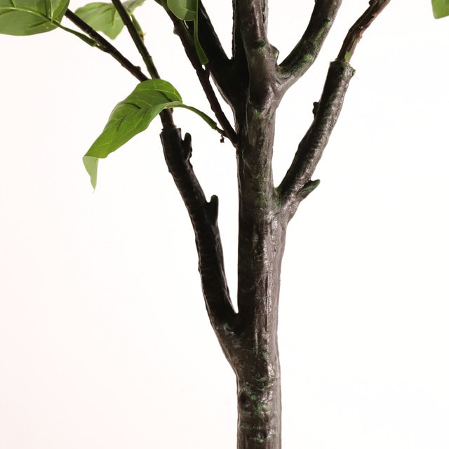 mobile_image