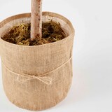 thumbnail of Plante artificielle avec pot polyèthylène vert - Oviala