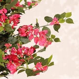 thumbnail of Planta artificial Buganvilla 120cm - Naturing Monde - Interior