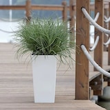 thumbnail of Prosperplast - Maceta Alta Urbi 2 Litros, De Plastico, 12,6 X 12,6 X 20 Cm En Color Blanco