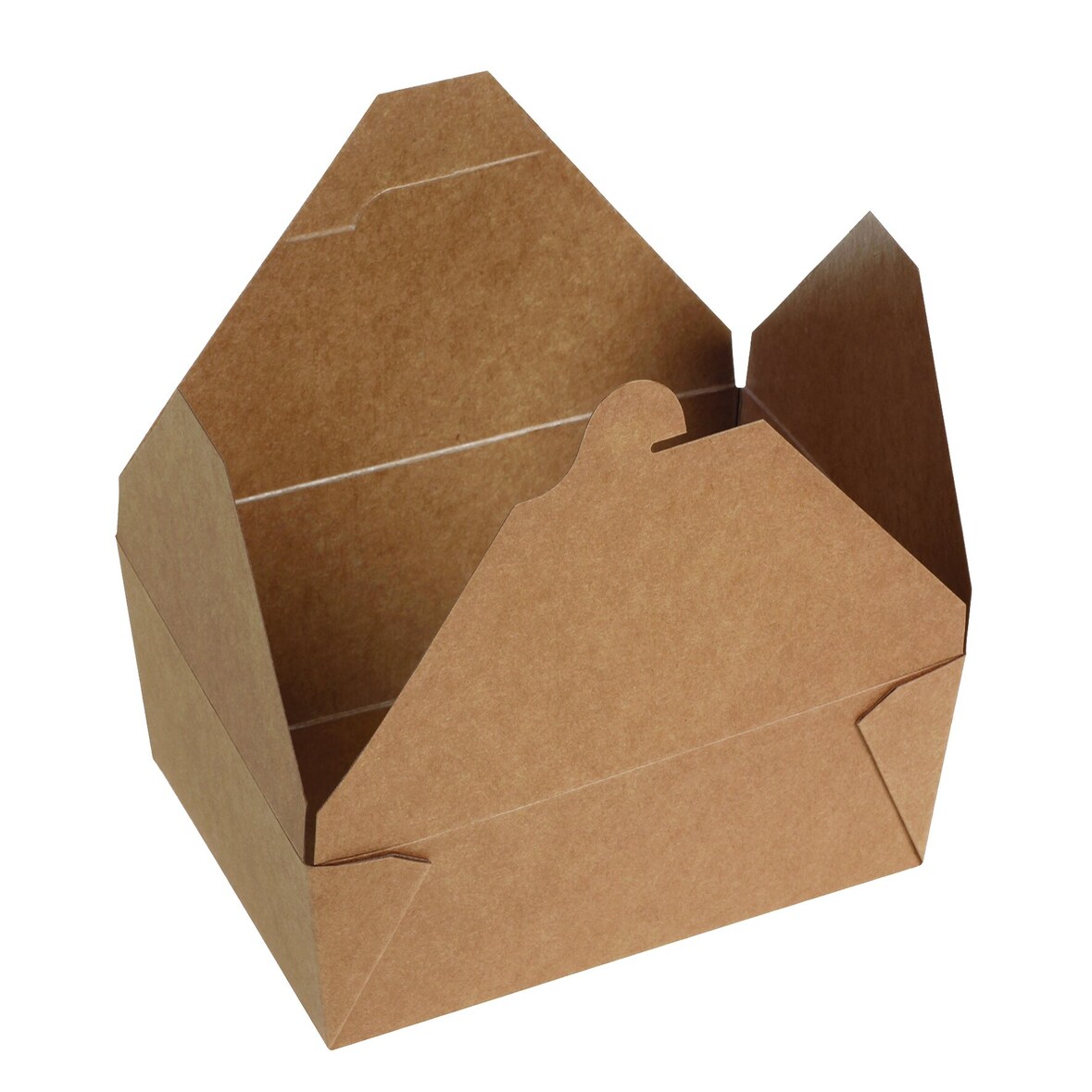 DeinPack 160x Take Away Box 2500ml I Bio Speisebox mit Faltdeckel Pappschachtel rechteckig