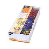 thumbnail of PAPSTAR 144 Deko-Picker 12 cm farbig sortiert "Palmblätter"