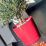 thumbnail of WellHome - Set van 3 bloempotten 4,2L Coubi Ø21 cm/u Kleur Wit