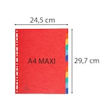 thumbnail of Exacompta - Réf. 2612E - Carton de 15 Intercalaires en véritable carte lustrée 400g/m2 - 12 onglets neutres - A4 maxi - Couleurs assorties