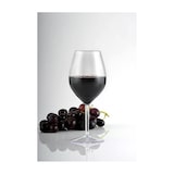 thumbnail of MONOUSO - Sektflöte für Wein Tritan Wiederverwendbar Durable Transp. 510ml (1 Stück)