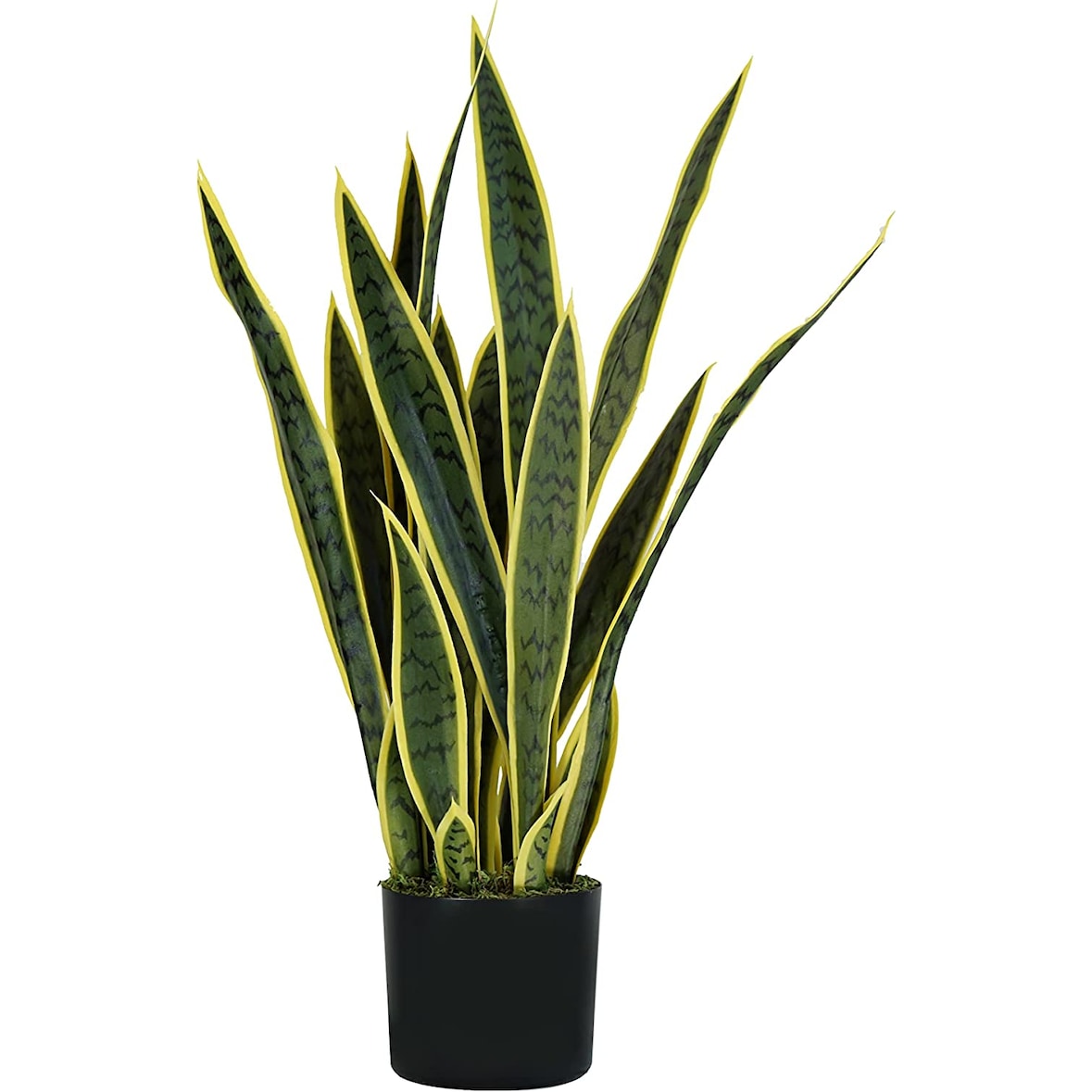 King Home Pianta Sansevieria in polietilene 21 foglie verde