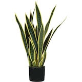 thumbnail of King Home Pianta Sansevieria in polietilene 21 foglie verde
