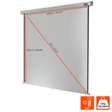 thumbnail of celexon Leinwand Rollo Professional 220 x 220 cm - 122`