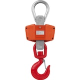 thumbnail of Steinberg Systems - Steinberg Systems Crochet-Peseur Crochet Peseur Balance Suspendue À Crochet Dynamomètre De Pesage Peson SBS-KW-3000KE (3 tonnes,