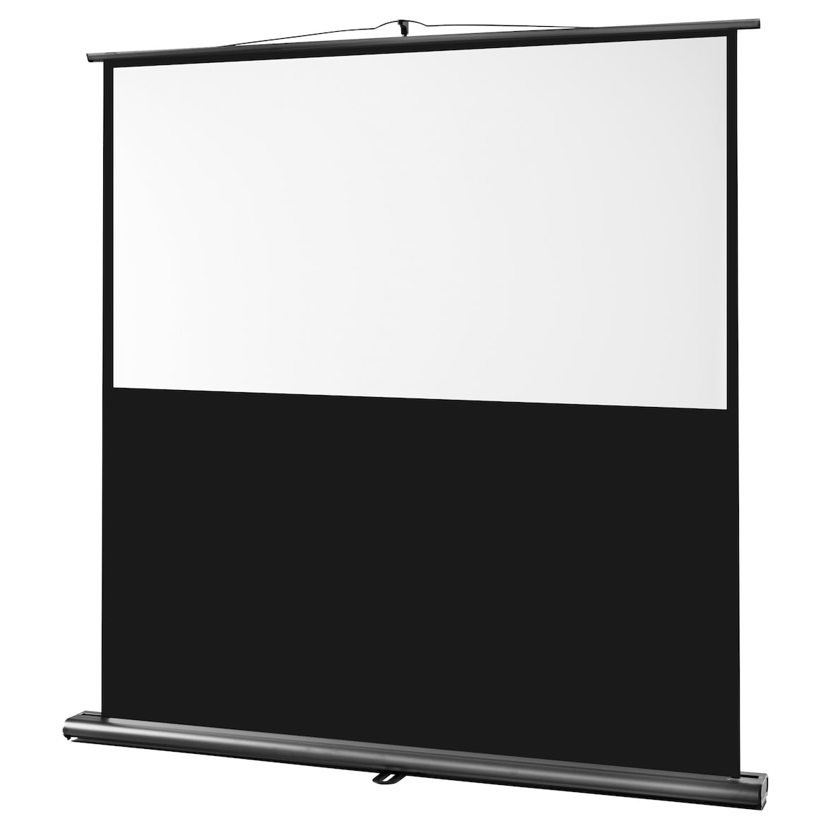 celexon Leinwand Ultramobil Professional 160 x 100 cm