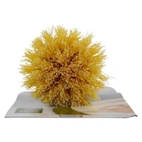 thumbnail of Brosse à vaisselle en bois Fackelmann