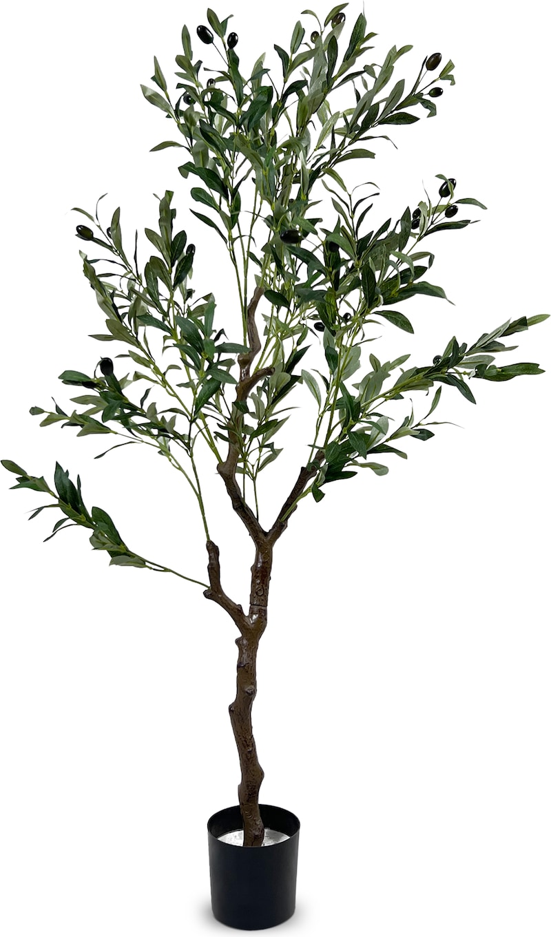 mobile_image
