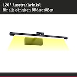 thumbnail of Paulmann LED Bilderleuchte Mingo   3000K 510lm 230V 9,5W  Schwarz 95564