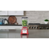 thumbnail of Blendtec - Total Blender Rot