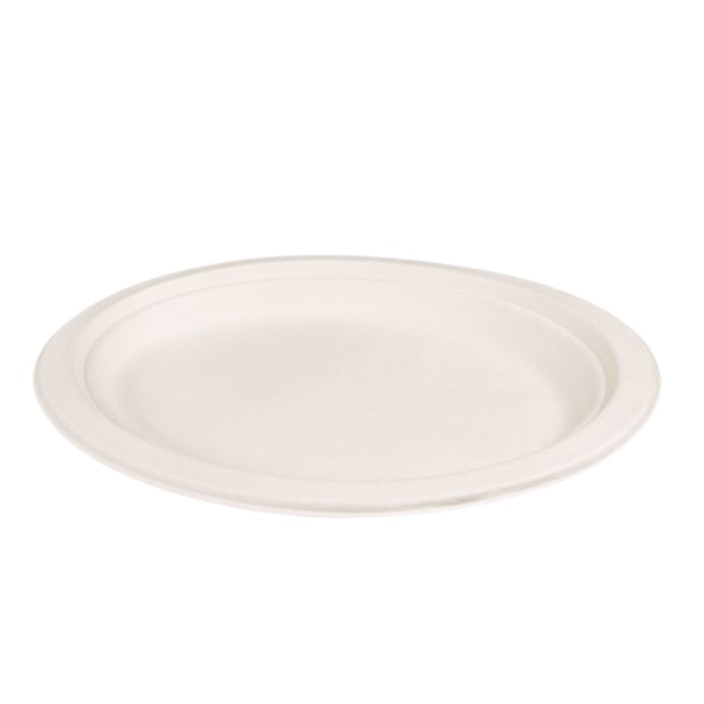 500x Bagasse Menüteller biologisch abbaubar Ø 24 cm Höhe: 2 cm