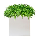 thumbnail of WellHome - Vaso Branco "Coleção Astra" 30L 70x70cm