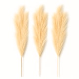 thumbnail of Künstliches Pampasgras (100 cm) – 3er Set in Creme - Beige