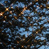 thumbnail of LED Lichterkette 10m koppelbar bis 700 LED mit Trafo Weihnachtslichterkette