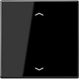 thumbnail of Jung Wippe Symbole sw LS 990 P SW LS990PSW
