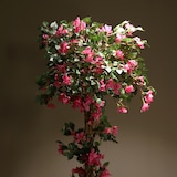 thumbnail of Planta artificial Buganvilla trenzada 185cm | Naturing Monde -Para interior - Tronco natural