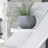 thumbnail of WellHome - Set van 3 Bloempotten 0,75L Beton Schaal Ø14,4 cm/u Zwart Cement Kleur