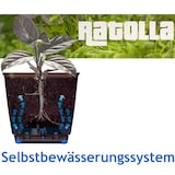 thumbnail of Deuba Blumenkasten 6 Liter Selbstbewässerungssystem Anthrazit