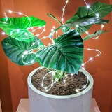 thumbnail of LED Draht Lichtbündel Pflanzenbeleuchtung Blumenstrauß 8 Stränge 100cm silber
