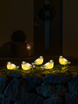 thumbnail of Konstsmide LED Acryl Vögel, 5er-Set, klar,24V, Aussen (IP44), 40 warm weiße Dioden , weißes Kabel - 6291-103