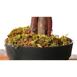 thumbnail of LEX künstliche Pflanze Ficus 378 Blätter ca. 115 cm
