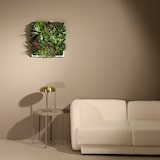 thumbnail of CUADRO VEGETAL ARTIFICIAL Naturing Monde ALLEGRA - 50 x 50 cm