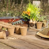 thumbnail of Relaxdays Anzuchttöpfe im Set, biologisch abbaubar, für Pflanzen, 80 Stück Pflanztöpfe, Zellulose, rund, 8 cm, beige