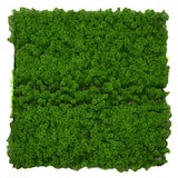 thumbnail of Vacchetti Pannello lichene cm100x100