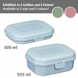 thumbnail of Westmark Snackbox Mini, 300 ml, blau, 2351227B