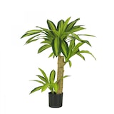 thumbnail of LIGNE DÉCO Dracena artificiel toucher naturel 80cm