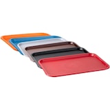 thumbnail of APS 00540 Plateau self service et snack rouge 45 x 35,5 cm, H 2 cm