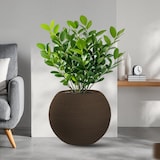 thumbnail of Divina Garden -  Harzvase für Pflanzen im Innen- und Außenbereich, rundes Kugeldesign, D.40x33h, Botticelli Brown