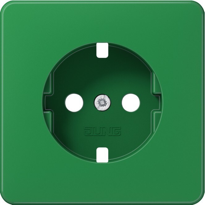 Jung Zentralplatte CD 520 BFGNPL CD520BFGNPL